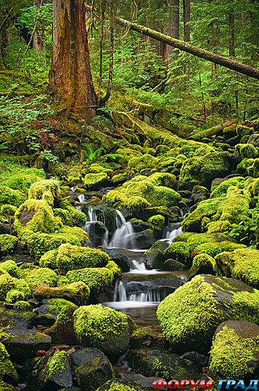 туристический форум