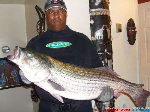 туристический форум