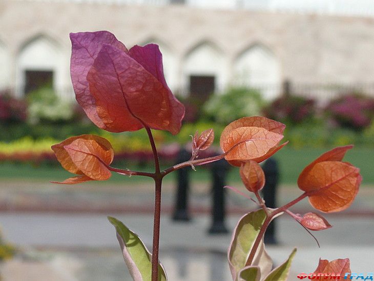 туристический форум