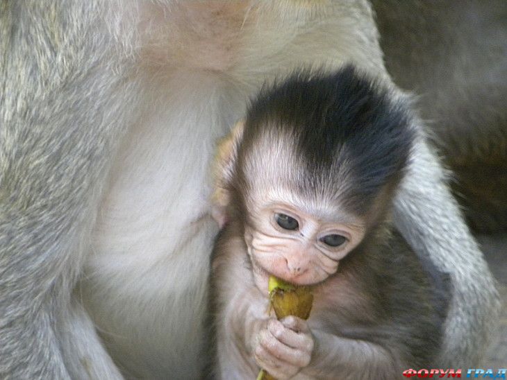 туристический форум