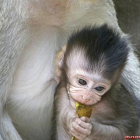 туристический форум