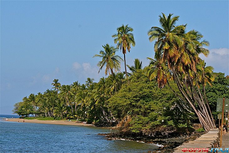 туристический форум