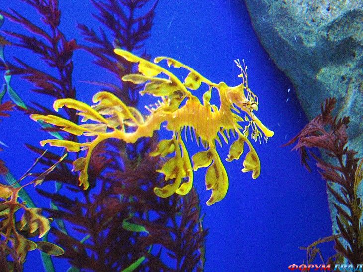 туристический форум