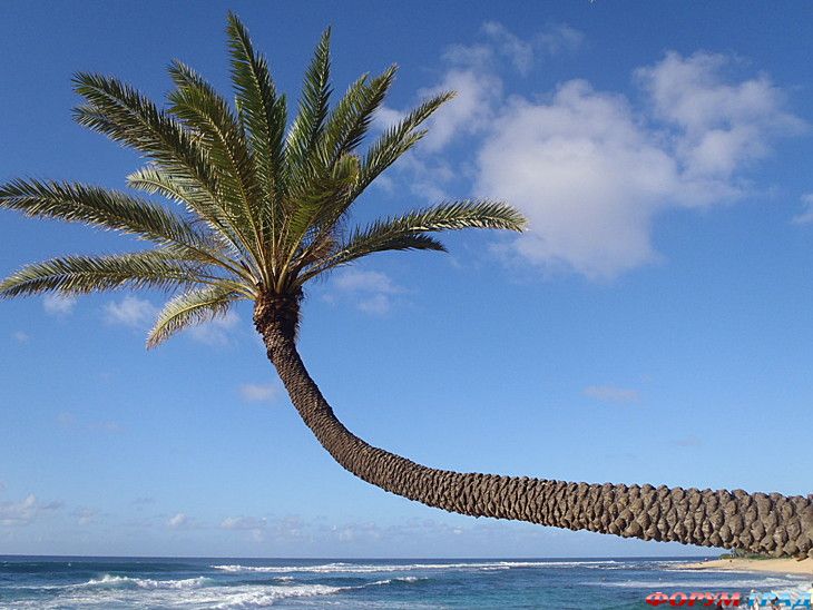 туристический форум