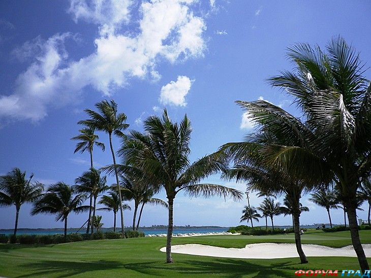 туристический форум