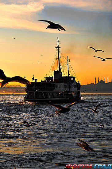 туристический форум