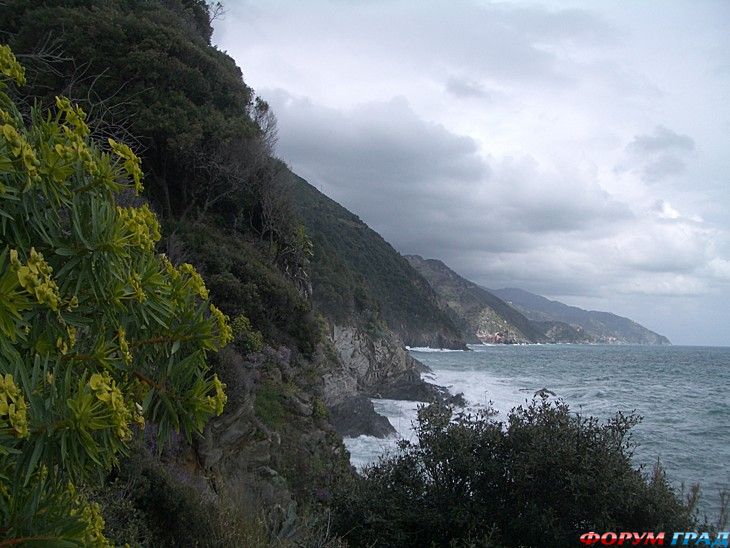 туристический форум