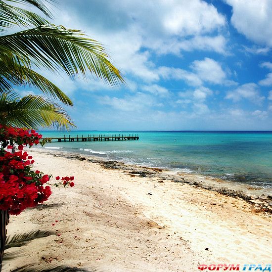 туристический форум