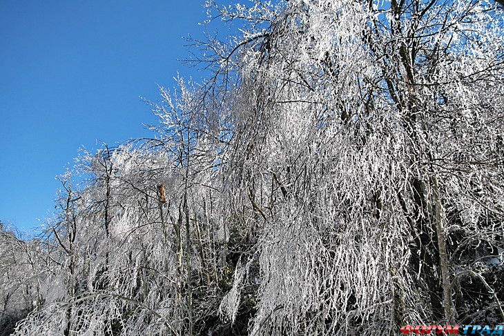 туристический форум
