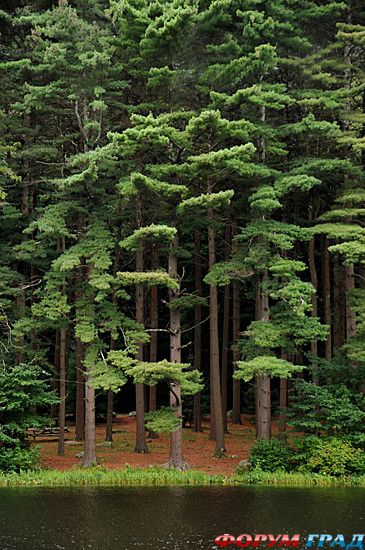 туристический форум