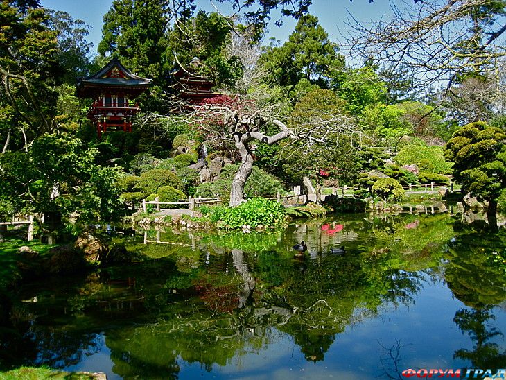 туристический форум