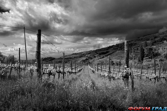 туристический форум