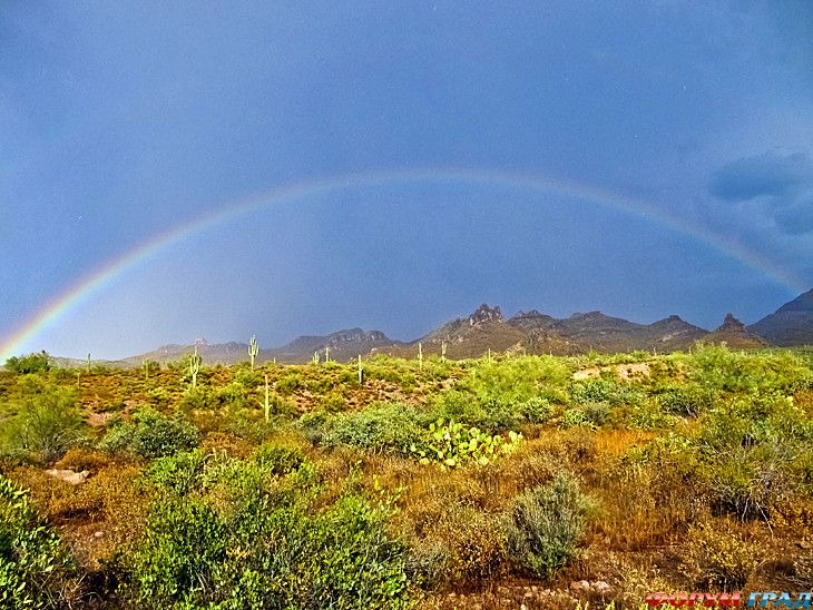туристический форум