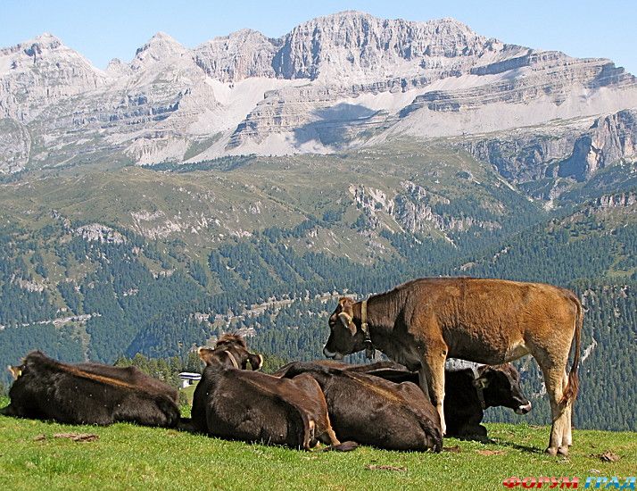 туристический форум