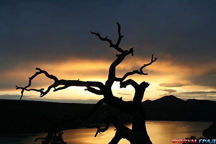 туристический форум