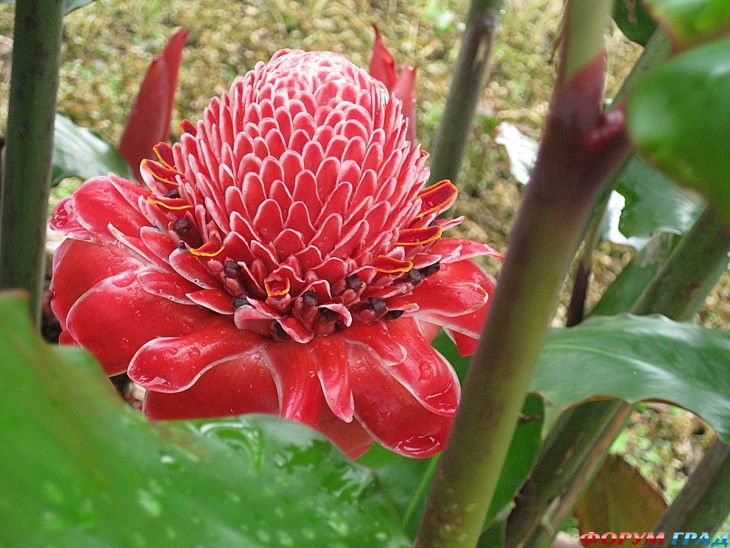 туристический форум