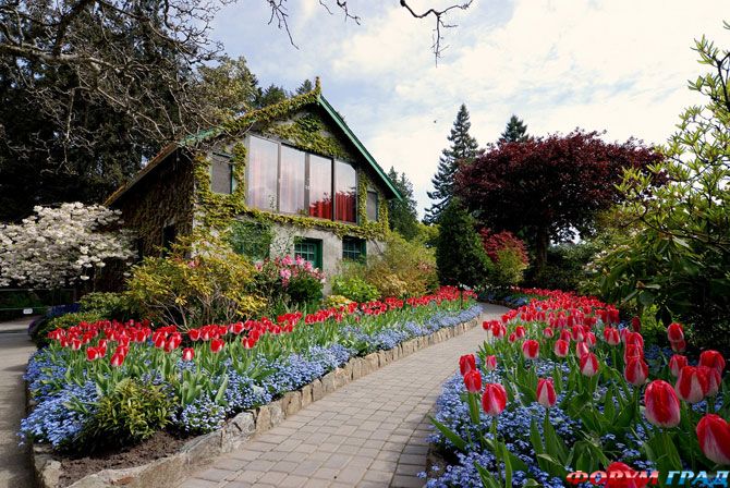 Сад Бурчат - аллея тюльпанов