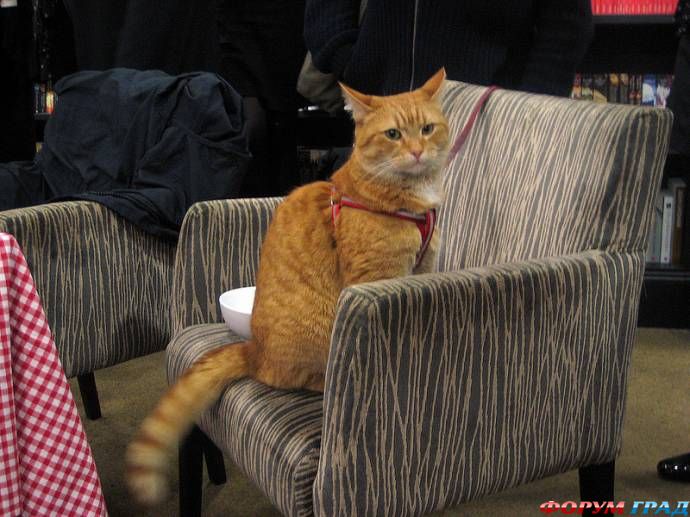 Дома на отдыхе