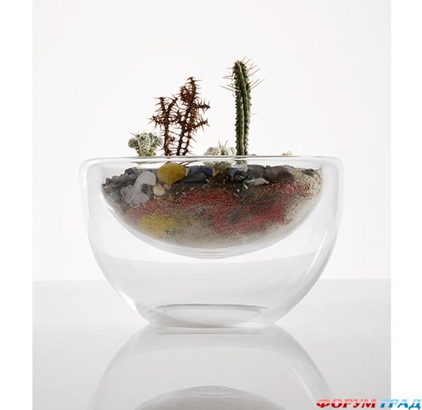 Композиция в прозрачной плошке