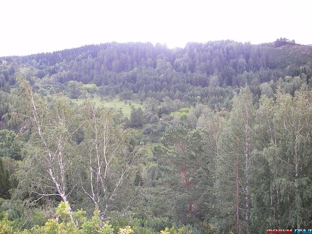 Природа Колывани