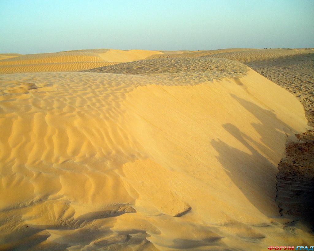 Песчаные барханы