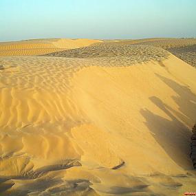 Песчаные барханы