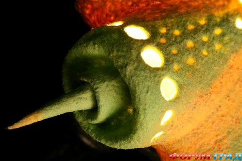 Светильники из войлока