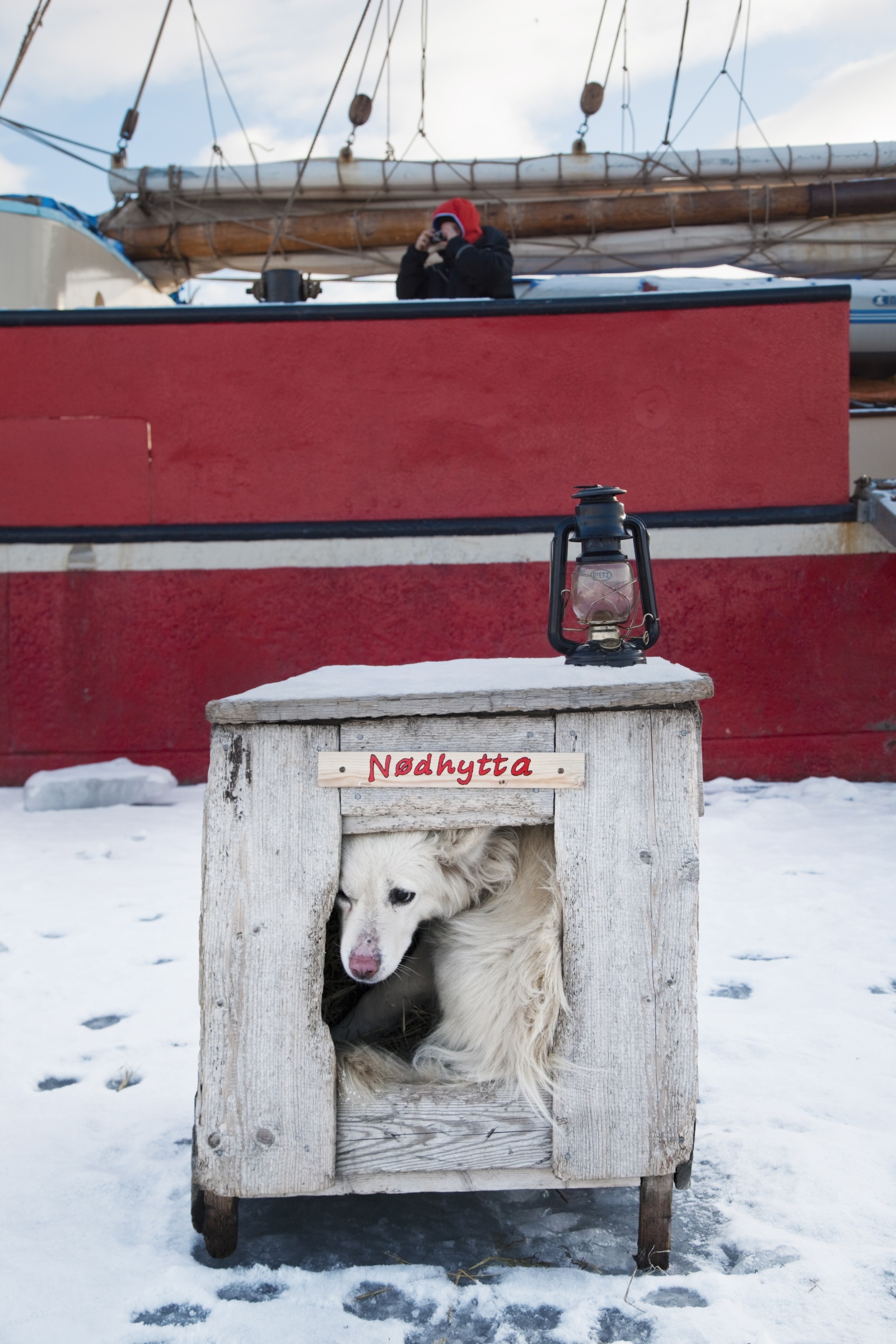 Сторожевая собака в будке около корабля