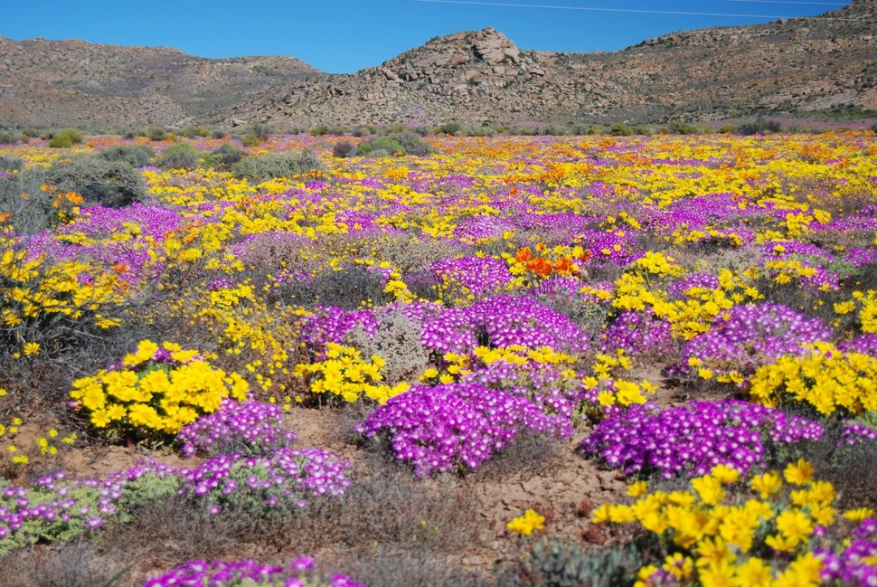 colorful-places-on-earth-25