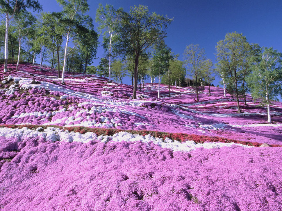 colorful-places-on-earth-4