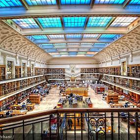 libraries-around-the-world-17