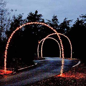 outdoor-christmas-lighting-decorations-14-2