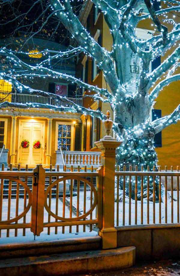 outdoor-christmas-lighting-decorations-26