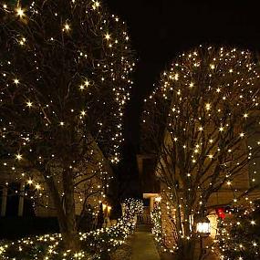 outdoor-christmas-lighting-decorations-30