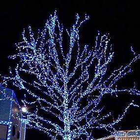 outdoor-christmas-lighting-decorations-42