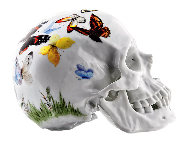 Художественный череп, сделанный из фарфора