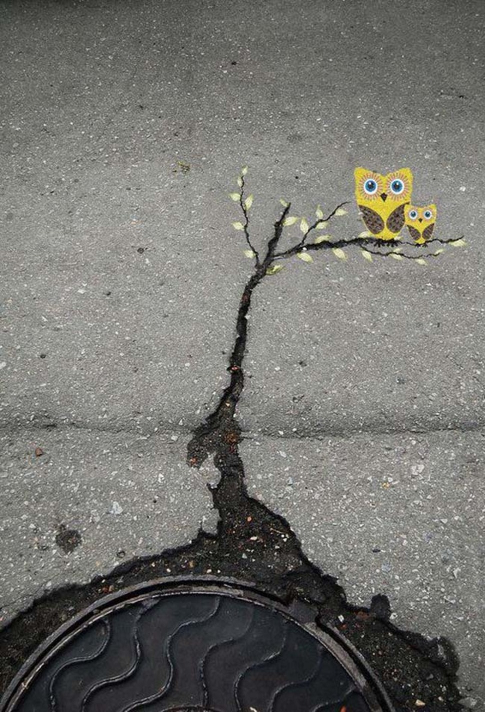 urban-art-36