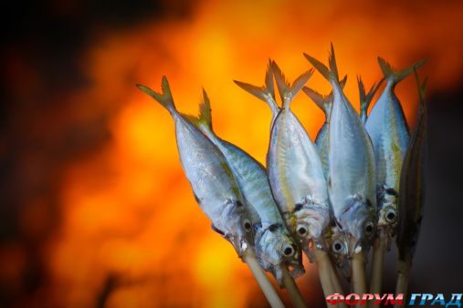 pliajnaia vecherinka.jpg9