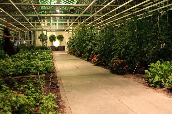 de-kas-restaurant-amsterdam-10