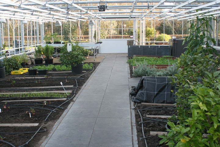 de-kas-restaurant-amsterdam-11