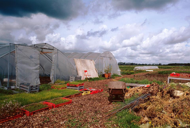 de-kas-restaurant-amsterdam-12