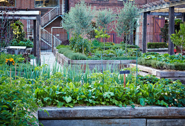 the-grounds-of-alexandria-cafe-caroline-choker-sydney-15