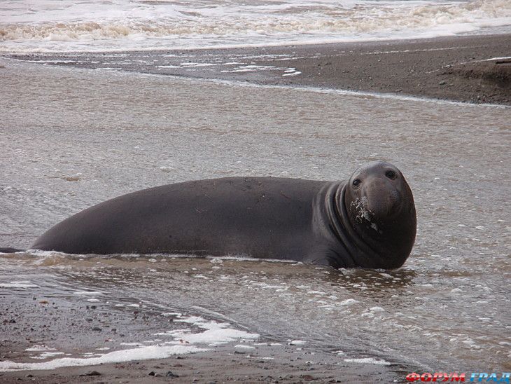 куда поехать отдыхать