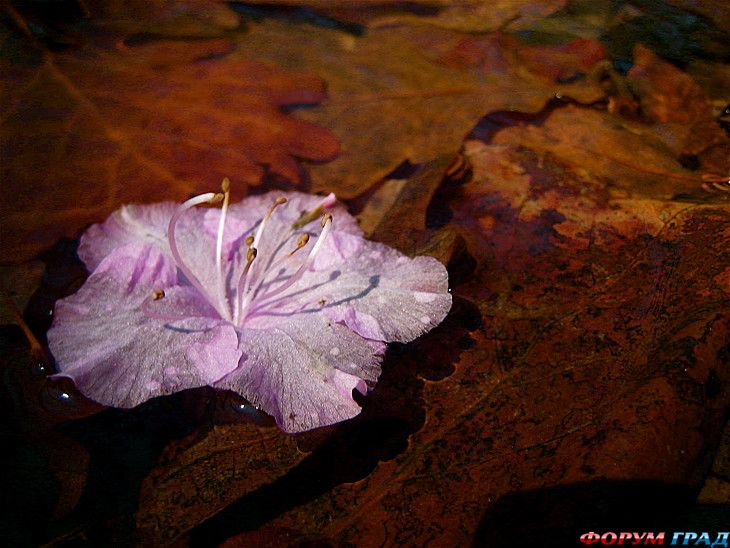 куда поехать отдыхать