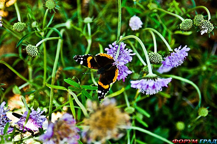 куда поехать отдыхать