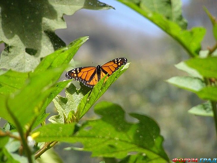 куда поехать отдыхать
