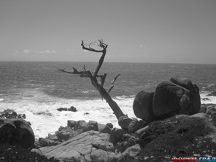 куда поехать отдыхать