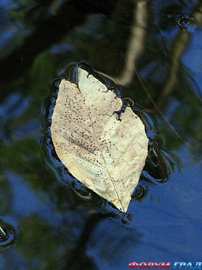 куда поехать отдыхать