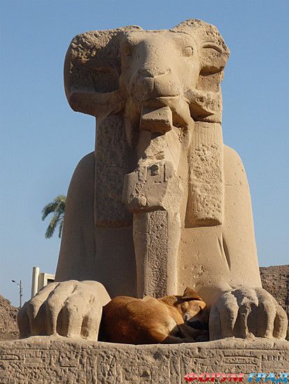 куда поехать отдыхать