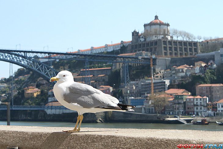 куда поехать отдыхать